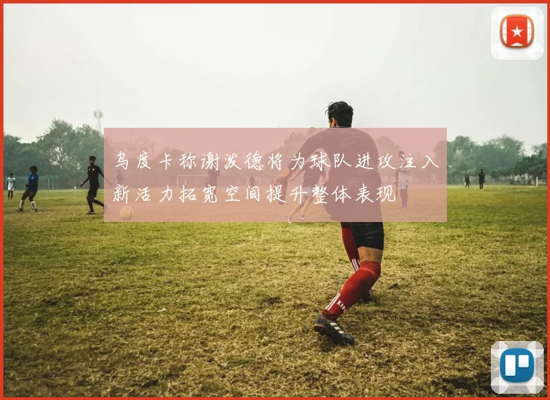 乌度卡称谢泼德将为球队进攻注入新活力拓宽空间提升整体表现