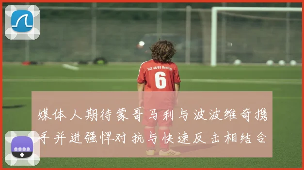 媒体人期待蒙哥马利与波波维奇携手并进强悍对抗与快速反击相结合