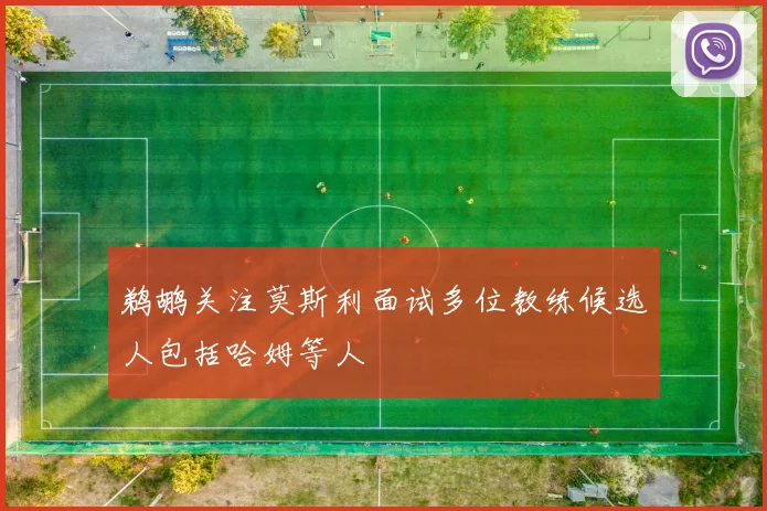鹈鹕关注莫斯利面试多位教练候选人包括哈姆等人